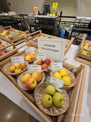 Foto des Albums: 16. Obstausstellung