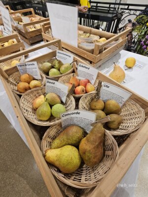 Foto des Albums: 16. Obstausstellung