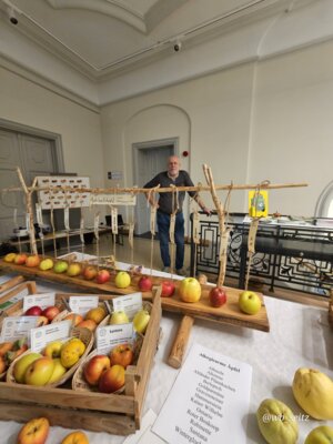 Foto des Albums: 16. Obstausstellung