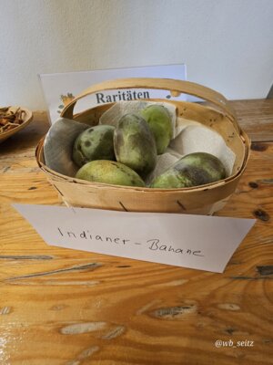 Foto des Albums: 16. Obstausstellung