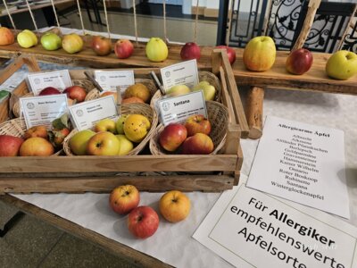 Foto des Albums: 16. Obstausstellung