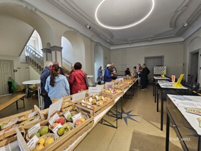 Foto des Albums: 16. Obstausstellung