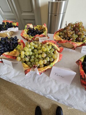 Foto des Albums: 16. Obstausstellung