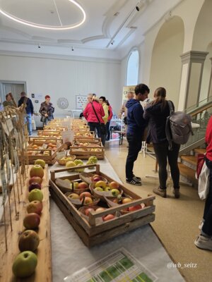 Foto des Albums: 16. Obstausstellung