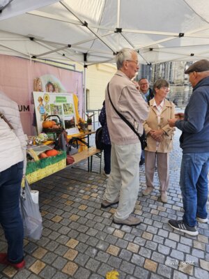Foto des Albums: 16. Obstausstellung