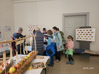 Foto des Albums: 16. Obstausstellung