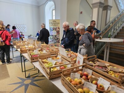 Foto des Albums: 16. Obstausstellung