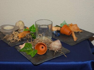 Foto des Albums: 16. Obstausstellung