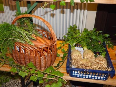 Foto des Albums: 16. Obstausstellung