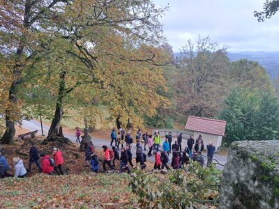 Foto des Albums: Lamberg 2023