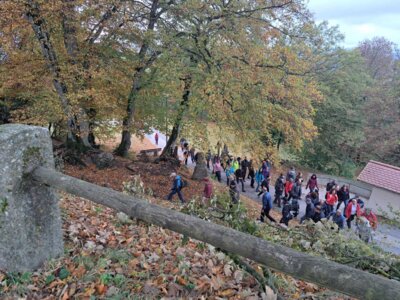 Foto des Albums: Lamberg 2023