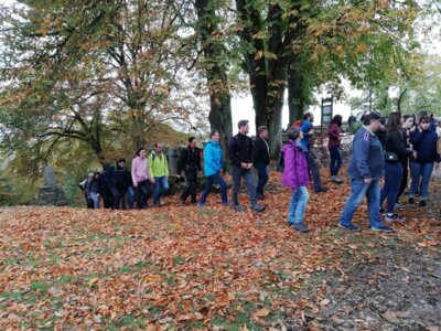 Foto des Albums: Lamberg 2023