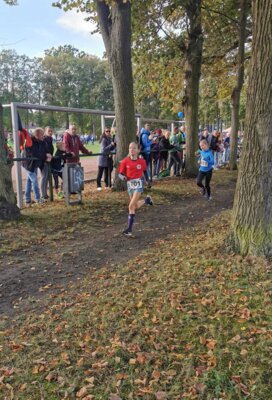 Foto des Albums: LM Cross Henningsdorf 14.10.2023 (01.​11.​2023)