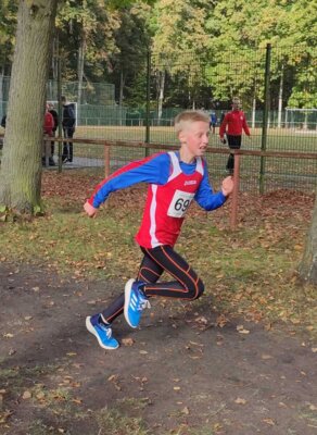 Foto des Albums: LM Cross Henningsdorf 14.10.2023 (01.​11.​2023)