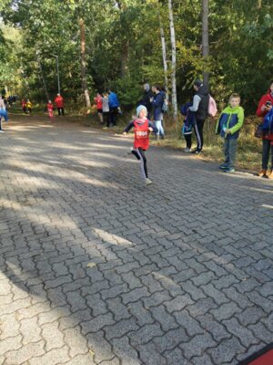 Foto des Albums: Karpiner Herbstcross 15.10.2023