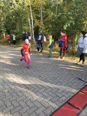 Foto des Albums: Karpiner Herbstcross 15.10.2023