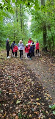 Foto des Albums: Torgelower Crosslauf 21.10.2023