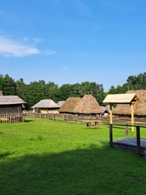 Foto des Albums: Impressionen vom Probenlager & Aufführungen der Friedenssinfonie 2023 in Rumänien
