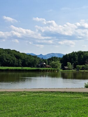 Foto des Albums: Impressionen vom Probenlager & Aufführungen der Friedenssinfonie 2023 in Rumänien