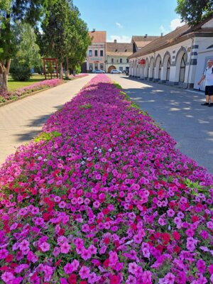 Foto des Albums: Impressionen vom Probenlager & Aufführungen der Friedenssinfonie 2023 in Rumänien