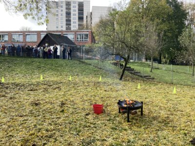 Foto des Albums: St. Martin