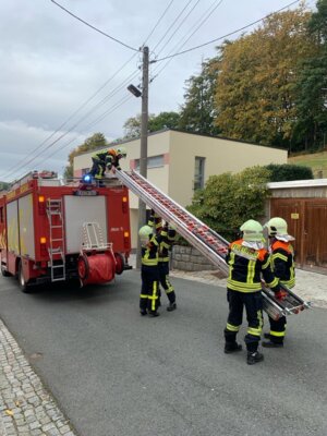 Foto des Albums: Technische Hilfe Klein - Tierrettung 10/23