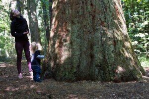 Foto des Albums: Pfingstwanderung 2018