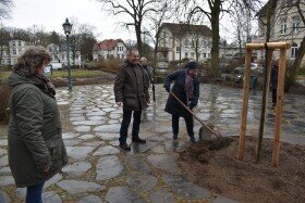 Foto des Albums: Linden - und Rosenpflanzung unter Coronabedingungen anläßlich 100 Jahre Heimatbund Parchim.