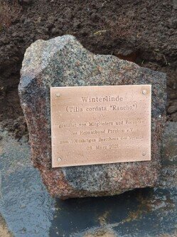 Foto des Albums: Linden - und Rosenpflanzung unter Coronabedingungen anläßlich 100 Jahre Heimatbund Parchim.