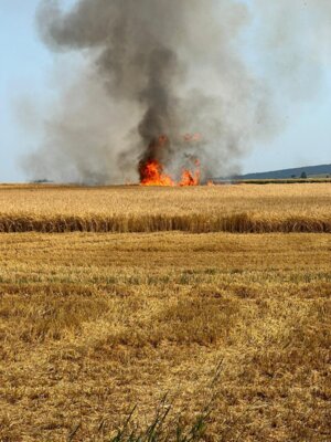 Feuer auf Anfahrt  (Bild vergr&ouml;&szlig;ern)