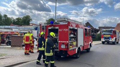 Zum Abmarsch fertig  (Bild vergr&ouml;&szlig;ern)