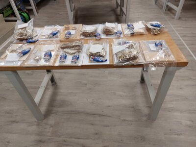 Foto des Albums: Weinachtsbasteln mit Eltern
