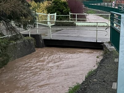 Foto des Albums: Hochwasser Meinsener Straße