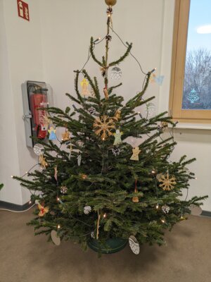 Unser Wunschbaum... 