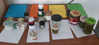 Foto des Albums: Projekttag 