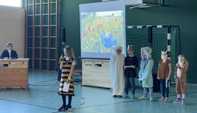 Foto des Albums: Projekttag 
