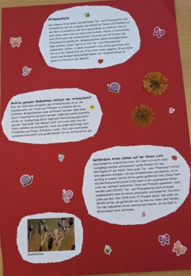 Foto des Albums: Projekttag 