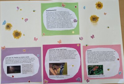 Foto des Albums: Projekttag 