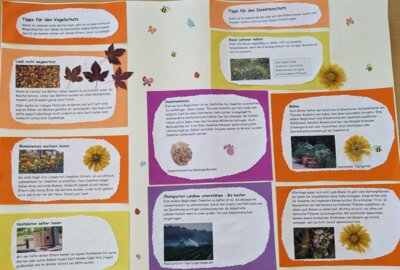 Foto des Albums: Projekttag 