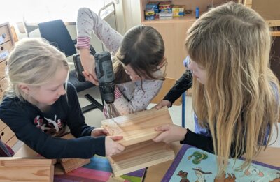 Foto des Albums: Projekttag 