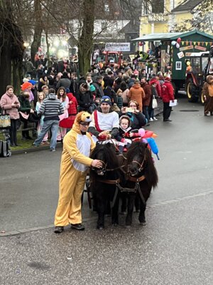 Foto des Albums: Tulpensonntag 11.02.2024