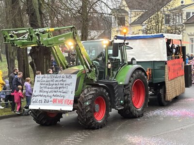 Foto des Albums: Tulpensonntag 11.02.2024