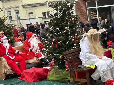 Foto des Albums: Tulpensonntag 11.02.2024