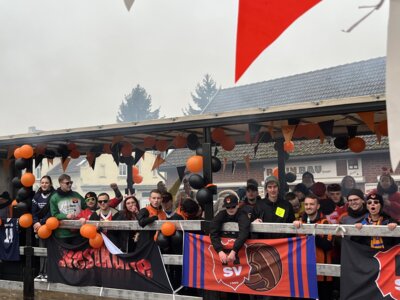 Foto des Albums: Tulpensonntag 11.02.2024