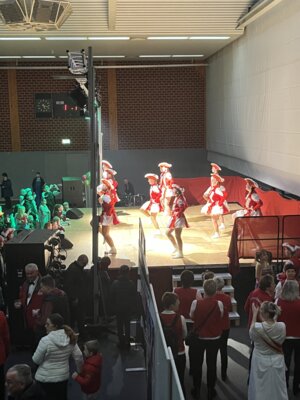 Foto des Albums: Tulpensonntag 11.02.2024