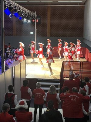 Foto des Albums: Tulpensonntag 11.02.2024