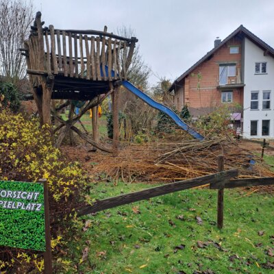 Zwischenlager des Schnittgutes  (Bild vergr&ouml;&szlig;ern)