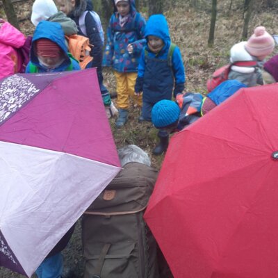 Foto des Albums: Tierspuren im Winter - ein Unterrichtsgang der Klasse 1b