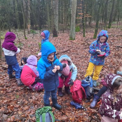 Foto des Albums: Tierspuren im Winter - ein Unterrichtsgang der Klasse 1b