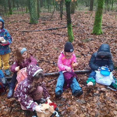 Foto des Albums: Tierspuren im Winter - ein Unterrichtsgang der Klasse 1b